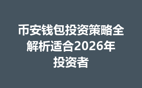 币安钱包投资策略全解析适合2026年投资者 一