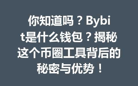 你知道吗？Bybit是什么钱包？揭秘这个币圈工具背后的秘密与优势！ 一