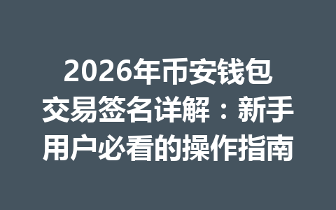 2026年币安钱包交易签名详解:新手用户必看的操作指南 一