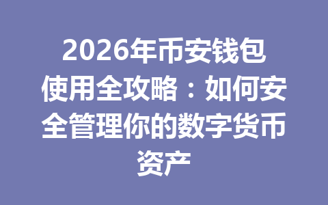 2026年币安钱包使用全攻略：如何安全管理你的数字货币资产 一