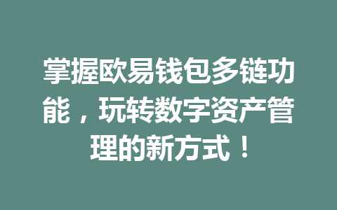 掌握欧易钱包多链功能,玩转数字资产管理的新方式! 一