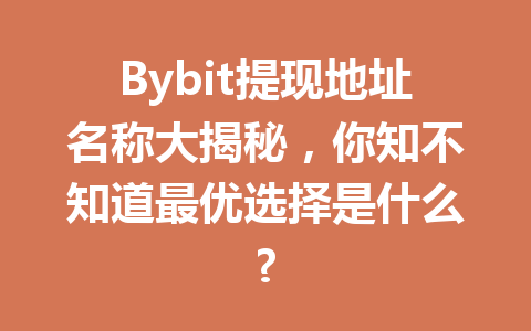 Bybit提现地址名称大揭秘,你知不知道最优选择是什么? 一