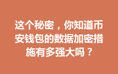 这个秘密,你知道币安钱包的数据加密措施有多强大吗? 一