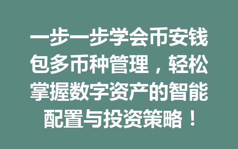 一步一步学会币安钱包多币种管理，轻松掌握数字资产的智能配置与投资策略！ 一