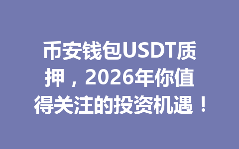 币安钱包USDT质押，2026年你值得关注的投资机遇！ 一