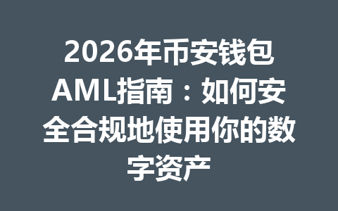 2026年币安钱包AML指南:如何安全合规地使用你的数字资产 一