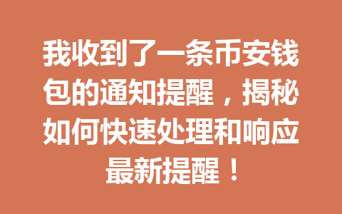 我收到了一条币安钱包的通知提醒,揭秘如何快速处理和响应最新提醒! 一