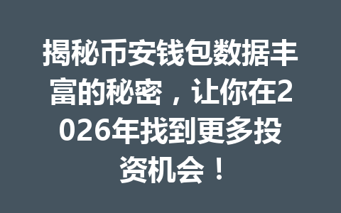揭秘币安钱包数据丰富的秘密,让你在2026年找到更多投资机会! 一