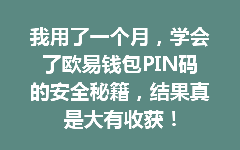 我用了一个月,学会了欧易钱包PIN码的安全秘籍,结果真是大有收获! 一