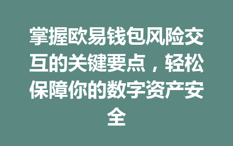 掌握欧易钱包风险交互的关键要点,轻松保障你的数字资产安全 一